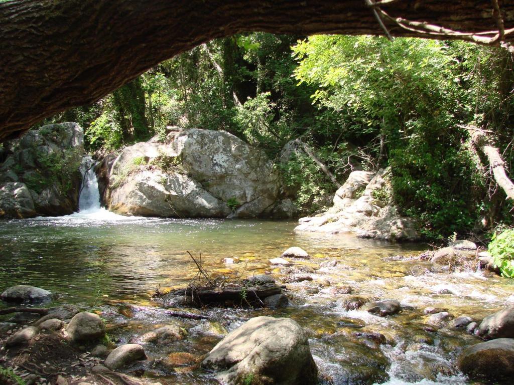 Agriturismo Torre Del Golfo 크로파니 외부 사진